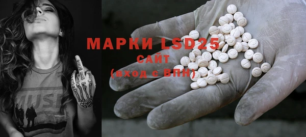 PSILOCYBIN Абдулино