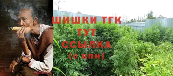 PSILOCYBIN Абдулино