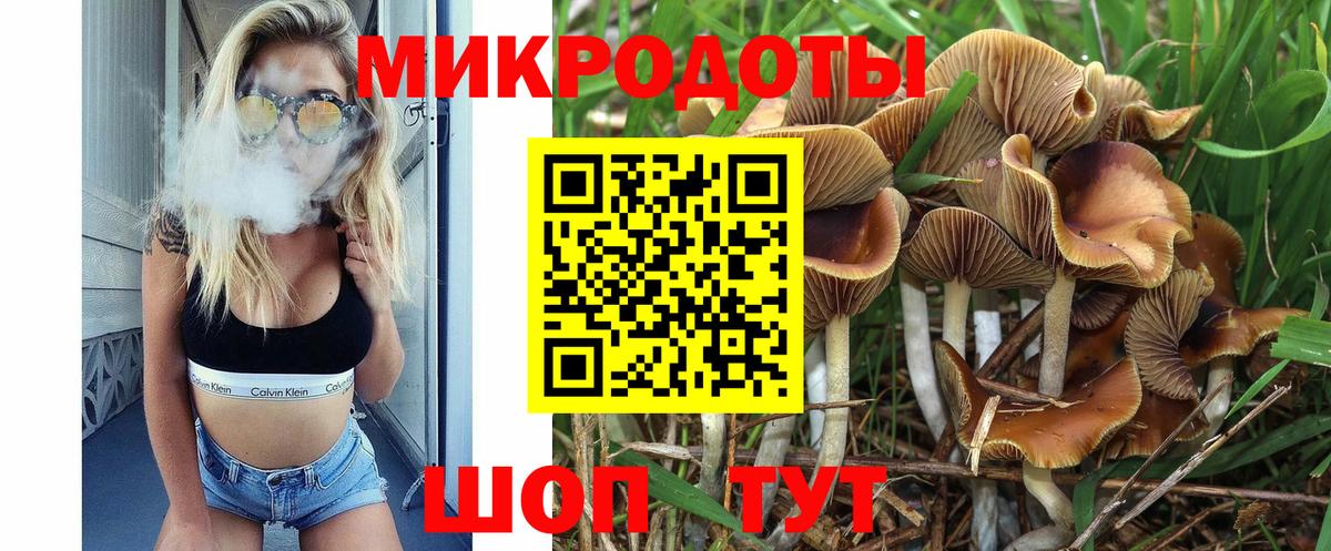 Каменск-Шахтинский  Псилоцибиновые грибы прущие грибы  наркошоп  Вход с VPN 